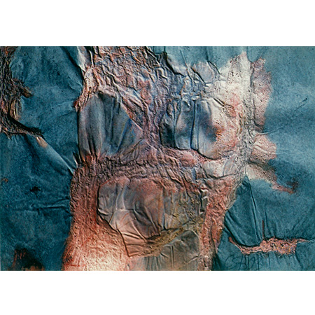Koba, 2003, Kreide auf Papier, 92 x 128 cm