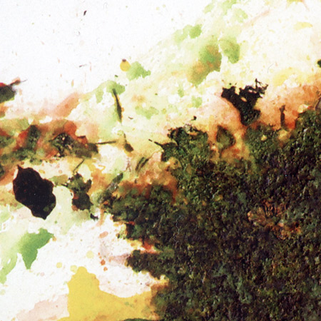 Tukan (Detail), 2013, Kreide auf Leinwand, 150 x 120 cm