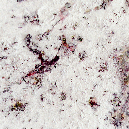 Ucaya, 2016, Kreide auf Leindwand, 150 x 120 cm